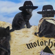 Illustration for article titled Classic site The Kitten Covers goes for broke with Meowderhead